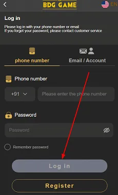Click the login button